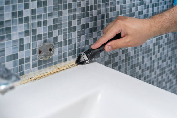 Best Local Mold Removal Service  in White Plains, NC