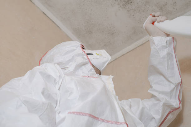 Best Mold Testing  in White Plains, NC