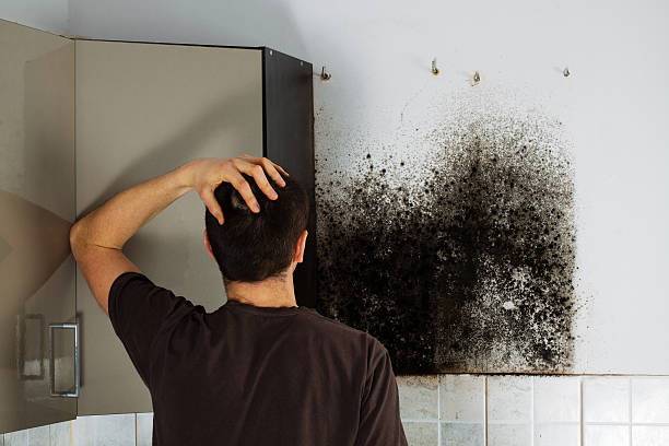 Best Crawl Space Mold Removal  in White Plains, NC